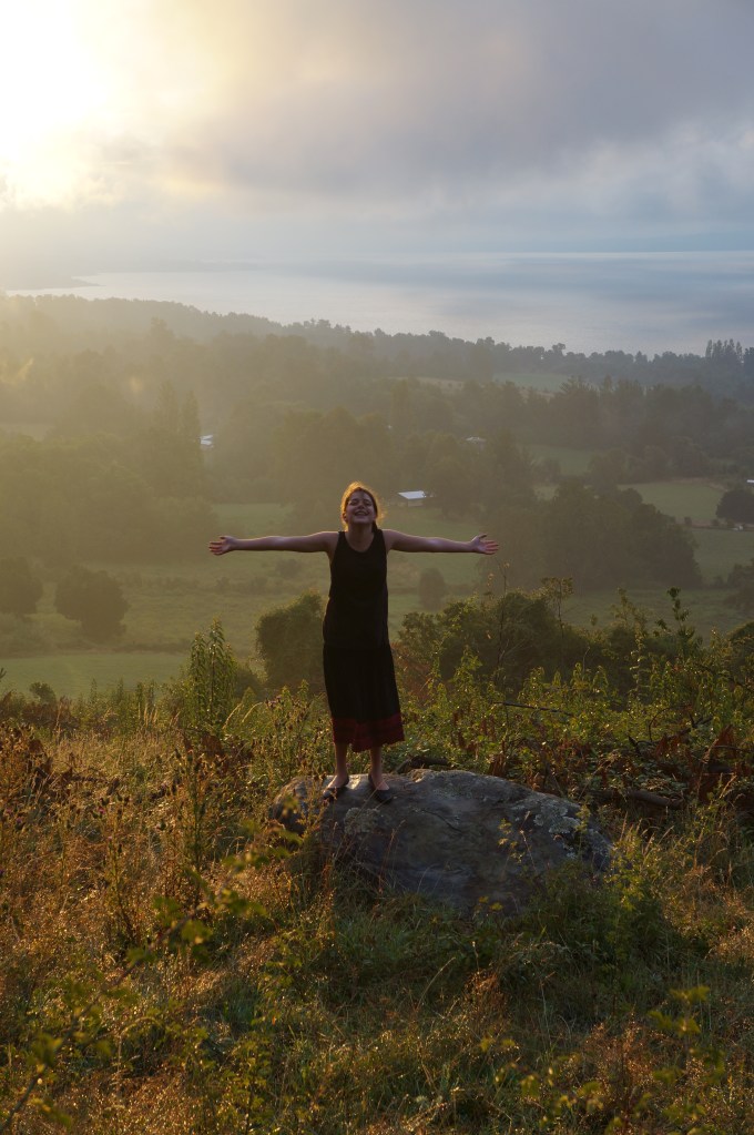 Soaking in the sun after a day of rain